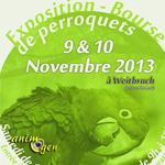 Exposition-Bourse de perroquets à Weitbruch (67), du samedi 09 au dimanche 10 novembre 2013