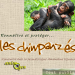 Conférence "Connaître et protéger... les chimpanzés" à Montalieu-Vercieu (38), le vendredi 15 novembre 2013