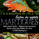 bourse-expositions-salon-reptile-Martigues-décembre-2013-07-08-éleveur-serpent-tortue-gecko-amphibien-lézard-matériel-animal-animaux-compagnie-animogen-0