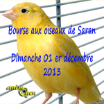  Bourse aux oiseaux à Saran (45), le dimanche 01 er décembre 2013