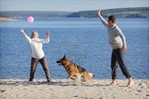 La préparation de la naissance d'un bébé avec un chien