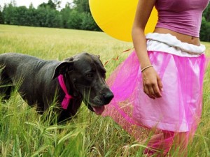 Enfants et chiens : comment éviter la mise en danger ?