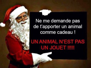 Les animaux ne sont pas des cadeaux