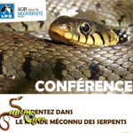 Conférence « Serpentez dans le monde des reptiles » à Vénissieux (69), le vendredi 06 décembre 2013