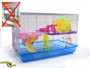 Vous allez adopter un hamster : cage, gamelles, jouets, litière, les accessoires indispensables