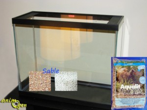 Débuter avec un aquarium d'eau douce : ce qu'il faut savoir