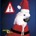 Santé : sapins, boules, guirlandes et décorations de Noël, assurons la sécurité de nos perroquets