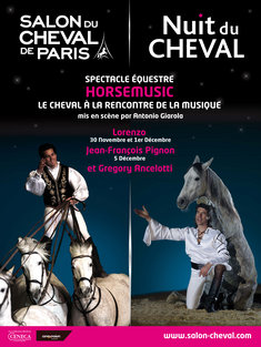 Salon du Cheval à Paris (93), du samedi 30 novembre au dimanche 08 décembre 2013