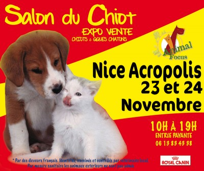 30 ème Salon du Chiot Animal Focus à Nice (06), du samedi 23 au dimanche 24 novembre 2013