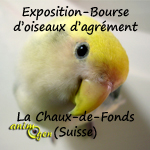 Exposition-Bourse d'oiseaux d'agrément à La Chaux-de-Fonds (Suisse), du samedi 30 novembre au dimanche 01 er décembre 2013