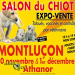 Salon du chiot à Montluçon (03), du samedi 30 novembre au dimanche 01 er décembre 2013
