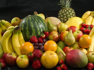 La nutrition des psittacidés en captivité (deuxième partie) : entre excès et carence, la ration idéale ?