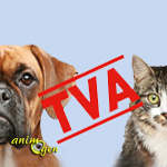 Hausse de la TVA en 2014 dans les élevages canins et félins : de 7 à 20 %, jusqu'où ira-t-on ? 