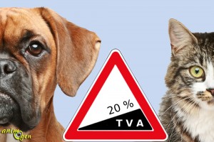 Hausse de la TVA en 2014 dans les élevages canins et félins : de 7 à 20 %, jusqu'où ira-t-on ? 