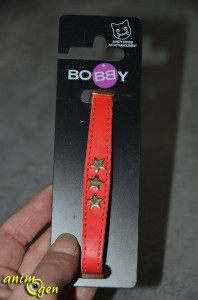 Collier pour chat en cuir anti-étranglement (Bobby)