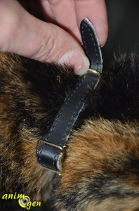 Collier pour chat en cuir anti-étranglement (Bobby)