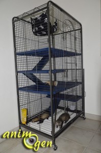 Cage pour furets, rongeurs et lapins : Tower XL (dimensions,description, prix, test)