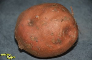 Alimentation : la patate douce, un légume tout en douceur pour nos perroquets