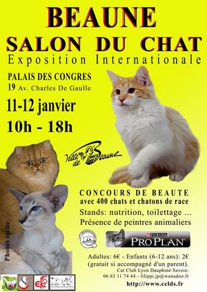 chat beaune
