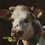 Exposition d'Art animalier "Capton" à Belfort (90), du 07 décembre 2013 au 04 janvier 2014