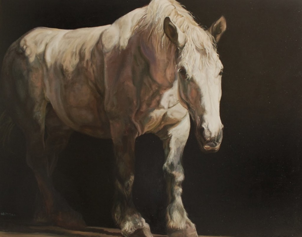 Exposition d'Art animalier "Capton" à Belfort (90), du 07 décembre 2013 au 04 janvier 2014