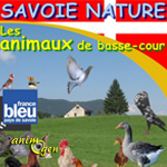 Exposition '"Les animaux de basse-cour" à Chambéry (73), du samedi 14 au dimanche 15 décembre 2013 