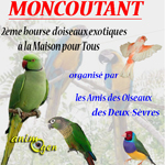 2 ème Bourse d'oiseaux exotiques à Moncoutant (79), le dimanche 12 janvier 2014