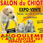 Salon du chiot à Angoulême (16), du samedi 11 au dimanche 12 janvier 2014