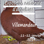 Exposition Nationale d'Aviculture à Villemandeur (45), du samedi 11 au dimanche 12 janvier 2014