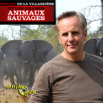 "Les grands animaux sauvages", une émission consacrée aux animaux sauvages sur M6 en décembre 2013