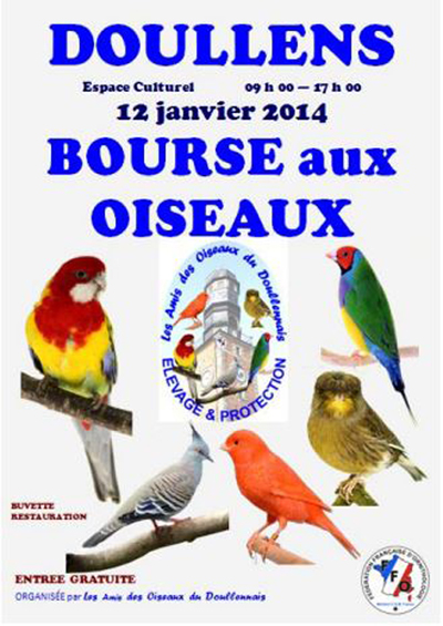 Bourse aux oiseaux à Doullens (80), le dimanche 12 janvier 2014