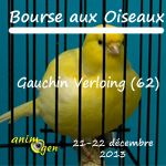 Bourse aux oiseaux à Gauchin Verloing (62), du samedi 21 au dimanche 22 décembre 2013