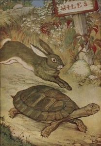 Lapin contre tortue en Chine, ou pourquoi Jean de La Fontaine avait raison