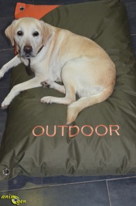 Accessoire canin : coussin "Outdoor" pour grand chien (Zooplus)