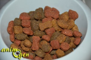 Alimentation pour chiens : Hill's Nature's Best adult petit/moyen, au poulet (Hill's Pet)