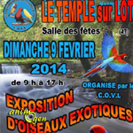 Exposition d’Oiseaux Exotiques à Temple sur Lot (47), le dimanche 09 février 2014