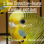 2 ème Exposition-bourse d’oiseaux exotiques à Breuil Magné (17), le dimanche 09 février 2014