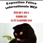 Exposition Féline Internationale WCF à Fleurus (Belgique), du samedi 25 au dimanche 26 janvier 2014