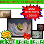 1 ère Bourse aux reptiles à Saint Aquilin de Pacy (27), du samedi 23 au dimanche 24 février 2014