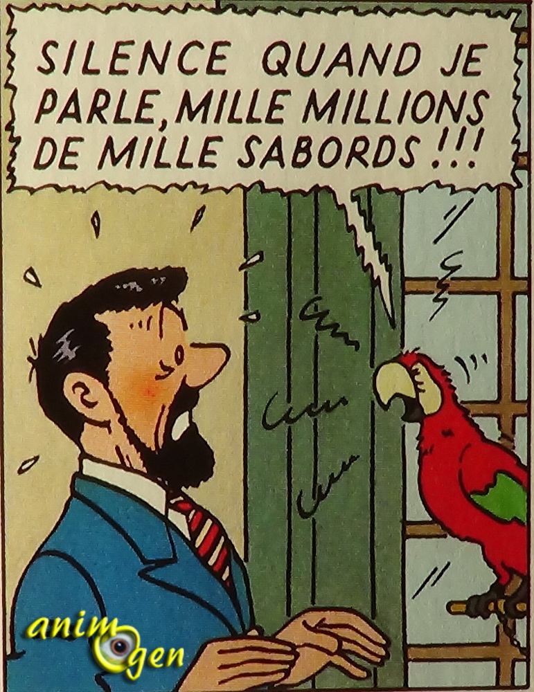 Le perroquet dans Tintin