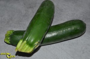 Alimentation : les courgettes pour nos perroquets