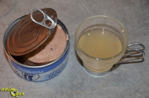 Alimentation : recette de friandise pour chat au thon