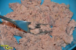 Alimentation : recette de friandise pour chat au thon