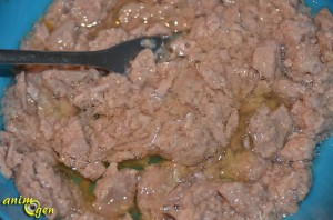 Alimentation : recette de friandise pour chat au thon