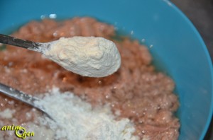 Alimentation : recette de friandise pour chat au thon