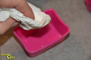 Alimentation : recette de friandise pour chat au thon