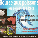 3 ème Bourse d'aquariophilie à Bourcefranc le Chapus (17), le dimanche 09 février 2014