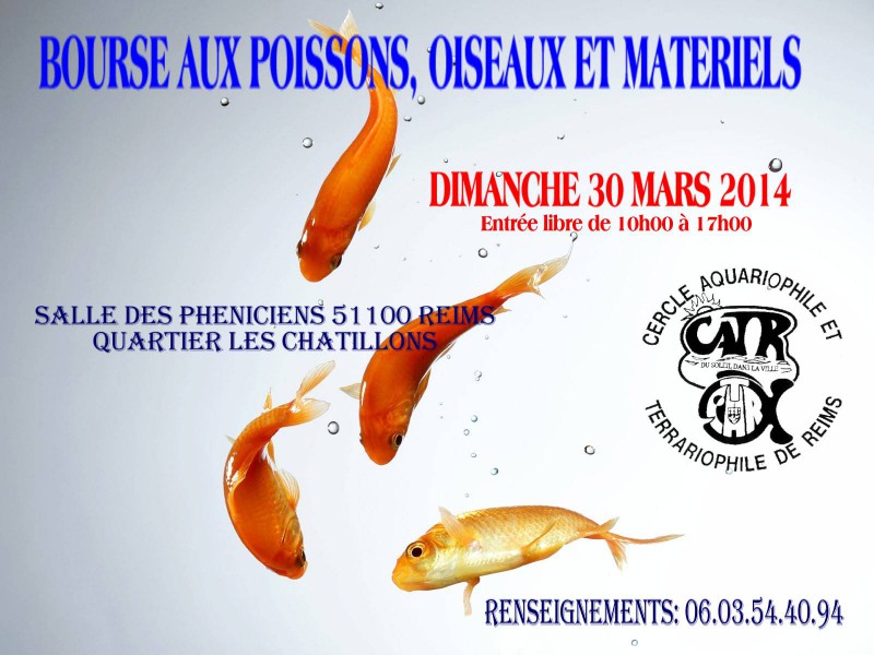 63 ème Bourse aux poissons, oiseaux et matériels à Reims (51), le dimanche 30 mars 2014