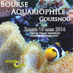 5 ème Bourse aquariophile de Gouesnou (29), le samedi 15 mars 2014