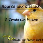 Bourse aux oiseaux à Condé sur Huisne (61), le samedi 15 février 2014